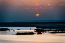 al asfar lake near hofuf saudi arabia.jpg